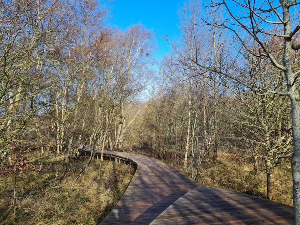 Natural landscape