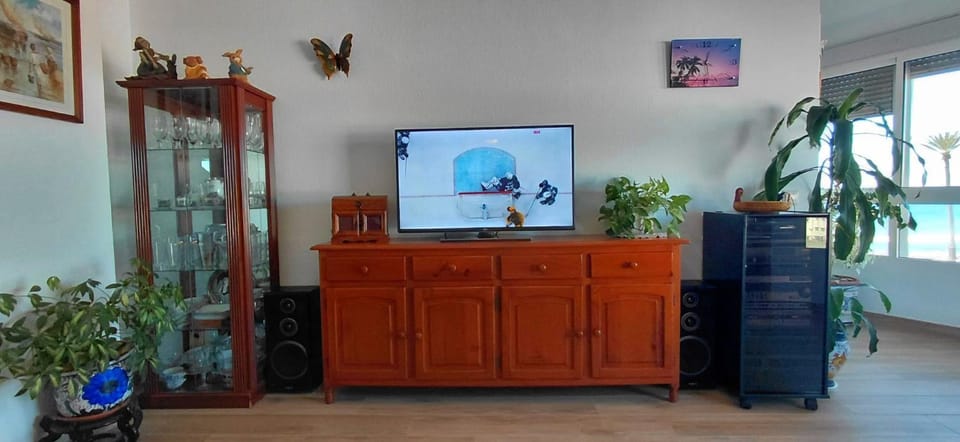 TV and multimedia