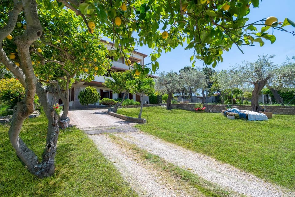 Spring, Day, Natural landscape, Garden, Garden view, Location, Parking