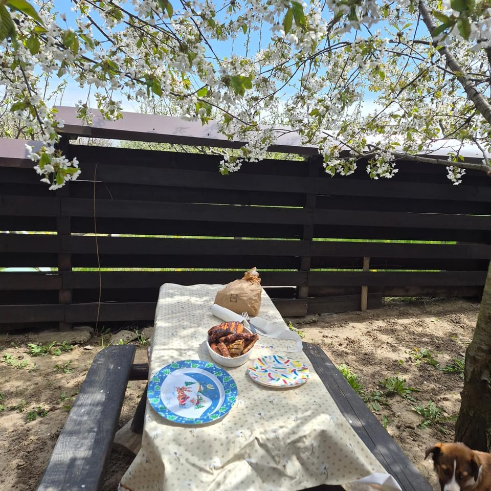 Căbănuțe lemn cu ciubăr Nature lodge in Romania