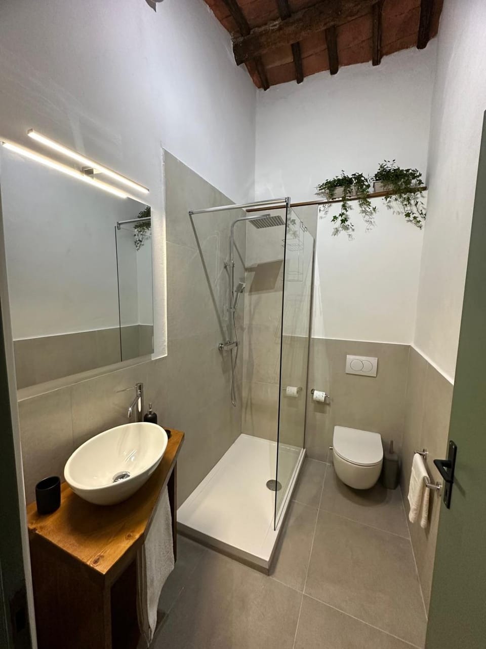 Shower, Toilet, Bathroom, towels