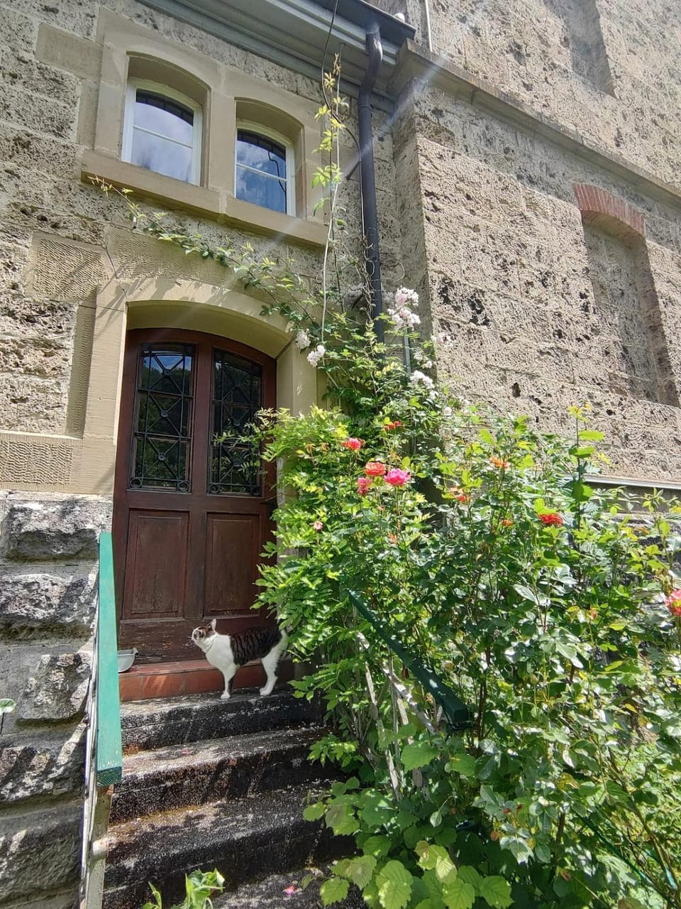 Property building, Garden view