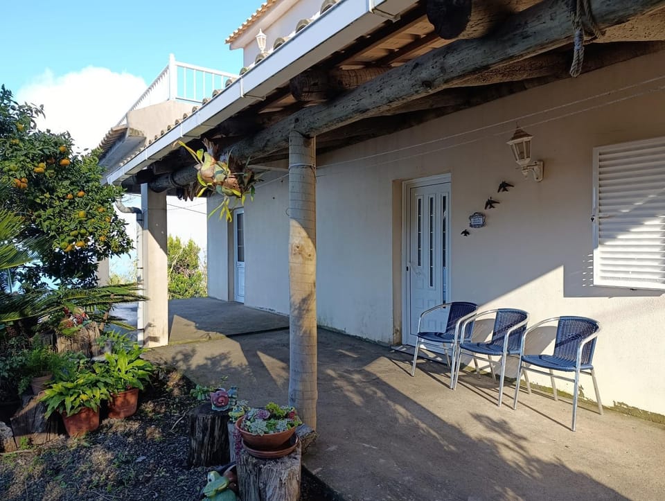 Spring, Garden, Balcony/Terrace