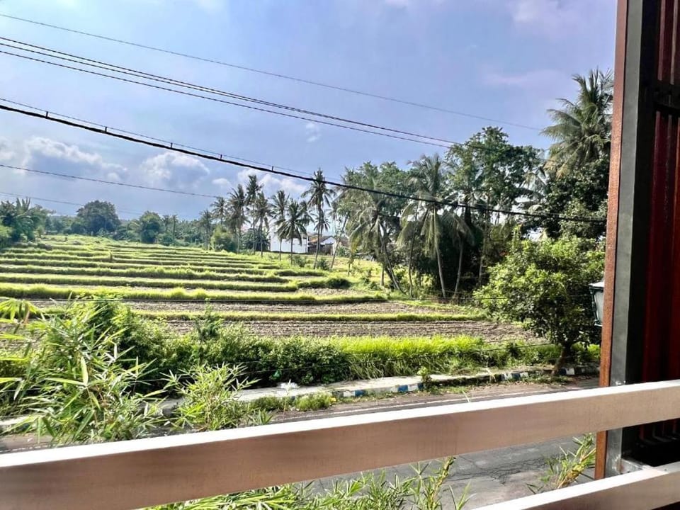 PaddyView Hostel Hostel in East Java