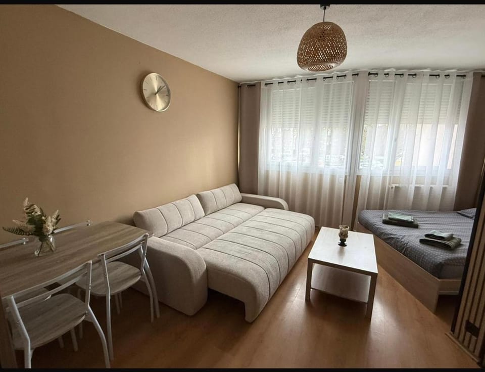 Studio - Chalon-sur-Saône Apartment in Bourgogne-Franche-Comté