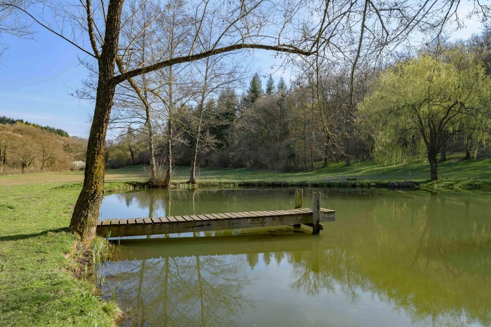 Natural landscape, Lake view