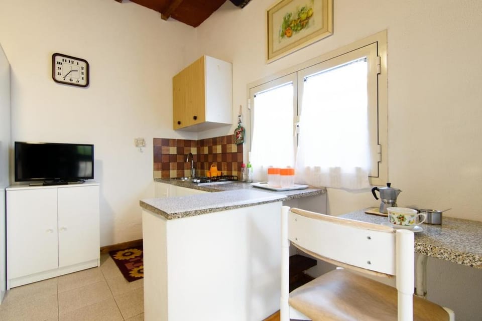 Kitchen or kitchenette, kitchen