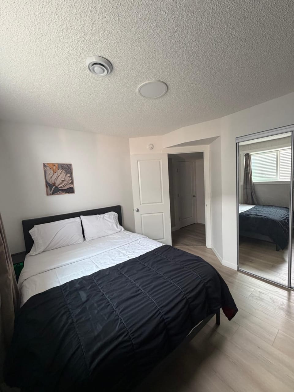 Haverims Cozy and Neat Basement House in Edmonton