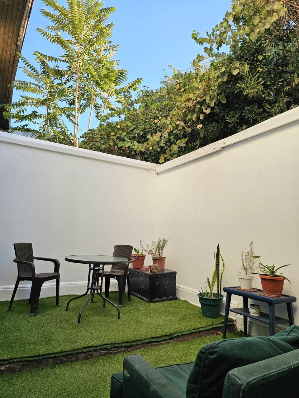 Patio, Garden, Garden