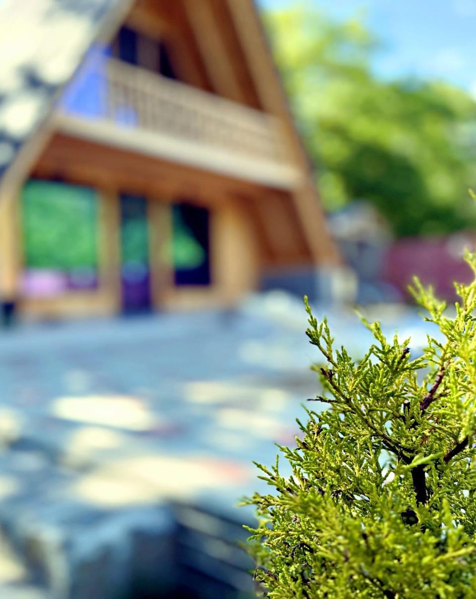 Property building, Spring, Day, Garden, Garden view