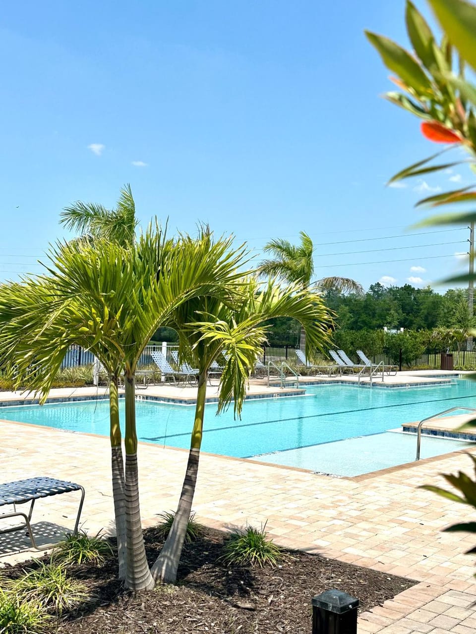 Natural landscape, Garden view, Swimming pool, sunbed
