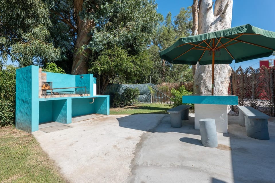 Patio, Day, Garden, Garden view