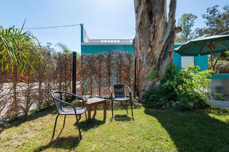 Patio, Day, Natural landscape, Garden, Garden view