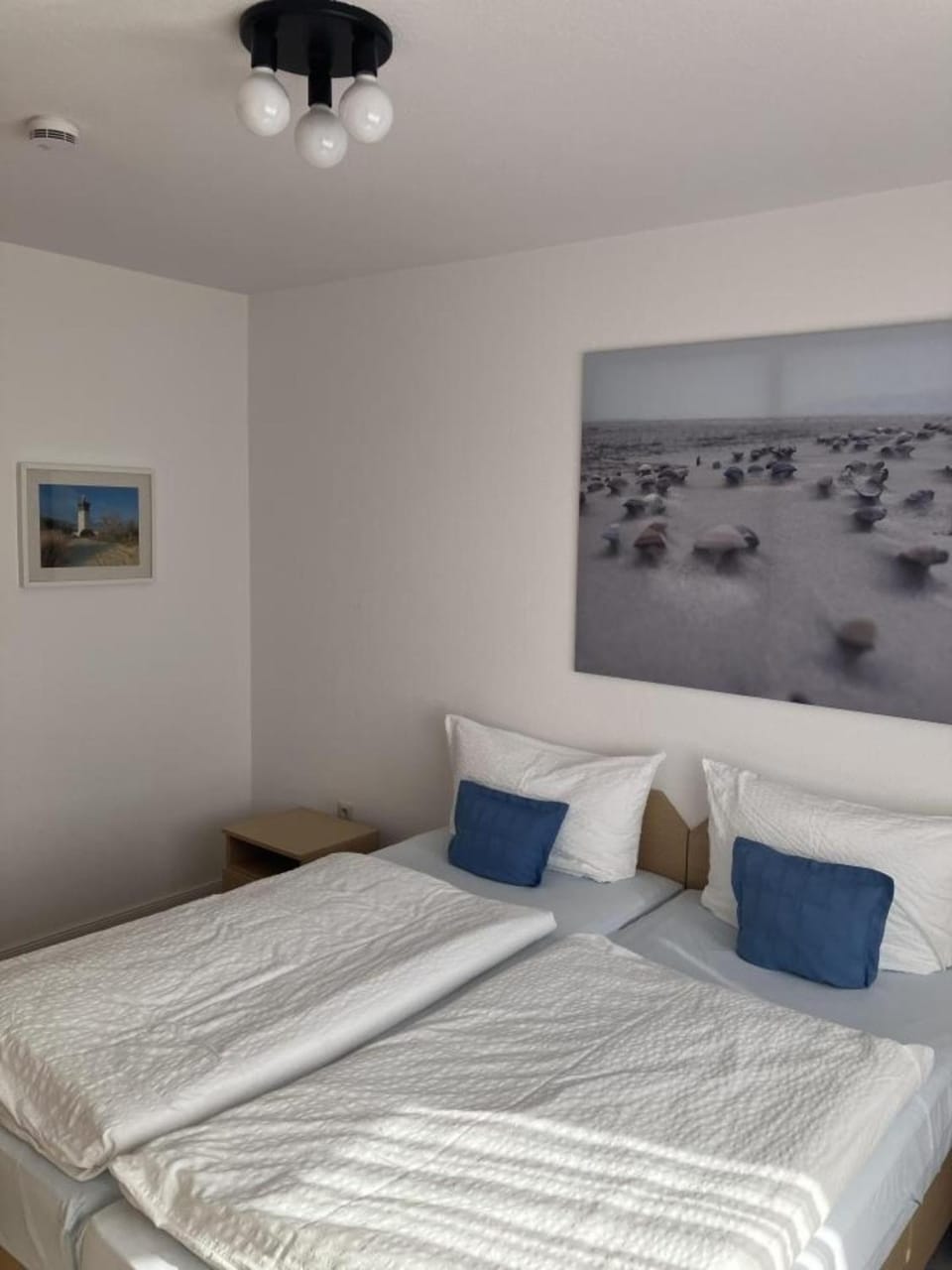 Panorama Baltrum Whg 6 Apartment in Lower Saxony, Germany