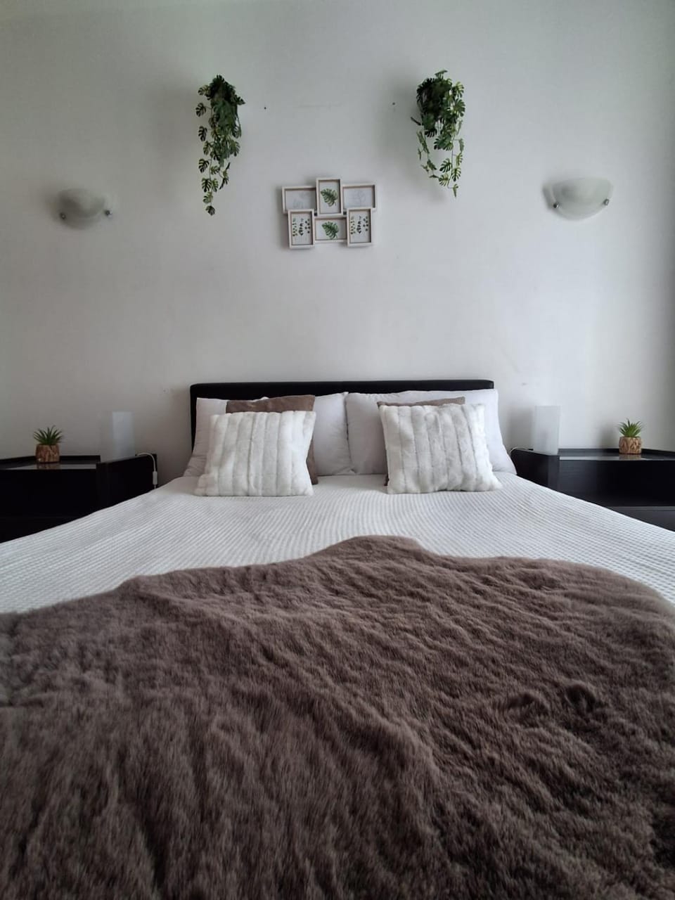 Vila Verde Ficus Apartment in Sal, Cabo Verde
