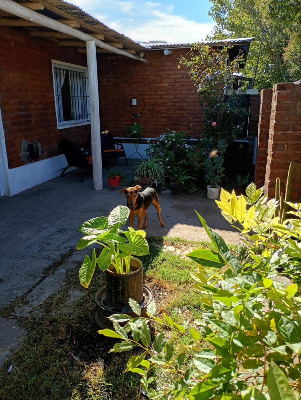 Garden, Garden view