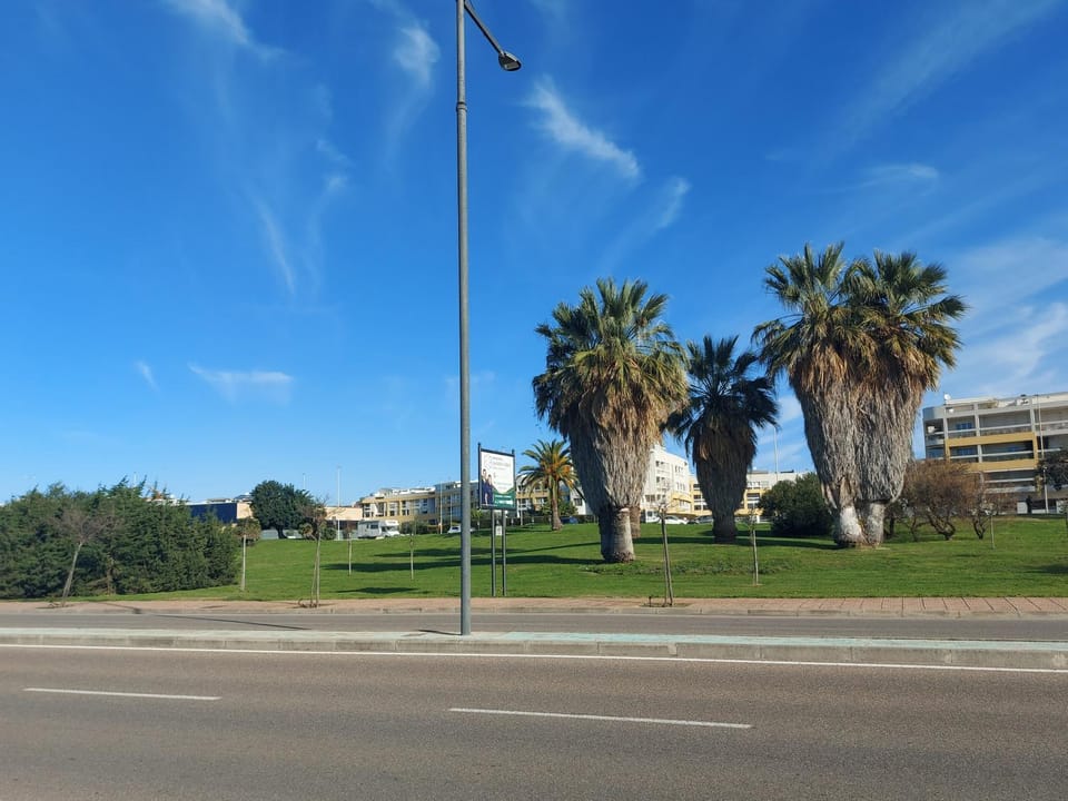 Natural landscape
