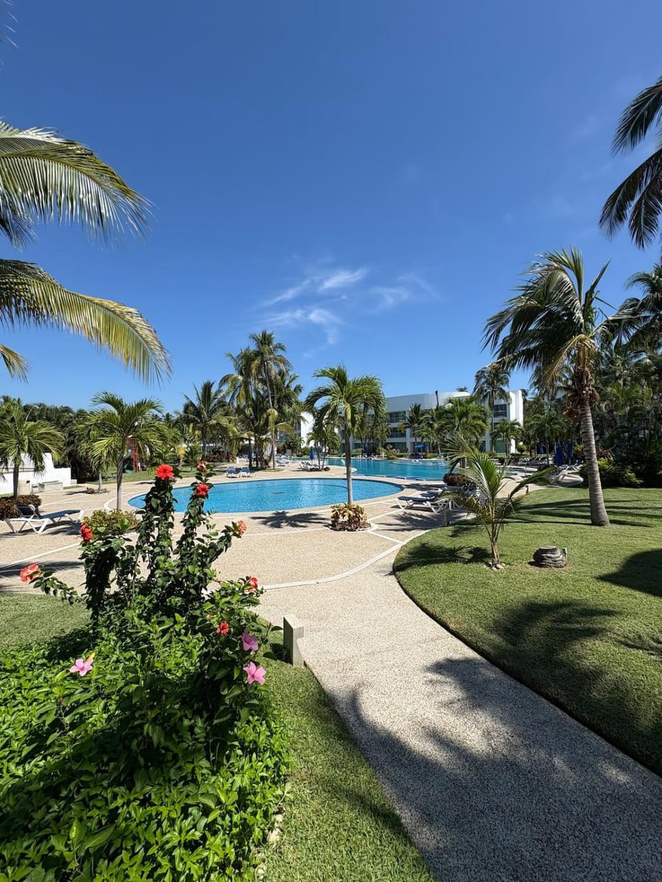 Garden, Swimming pool