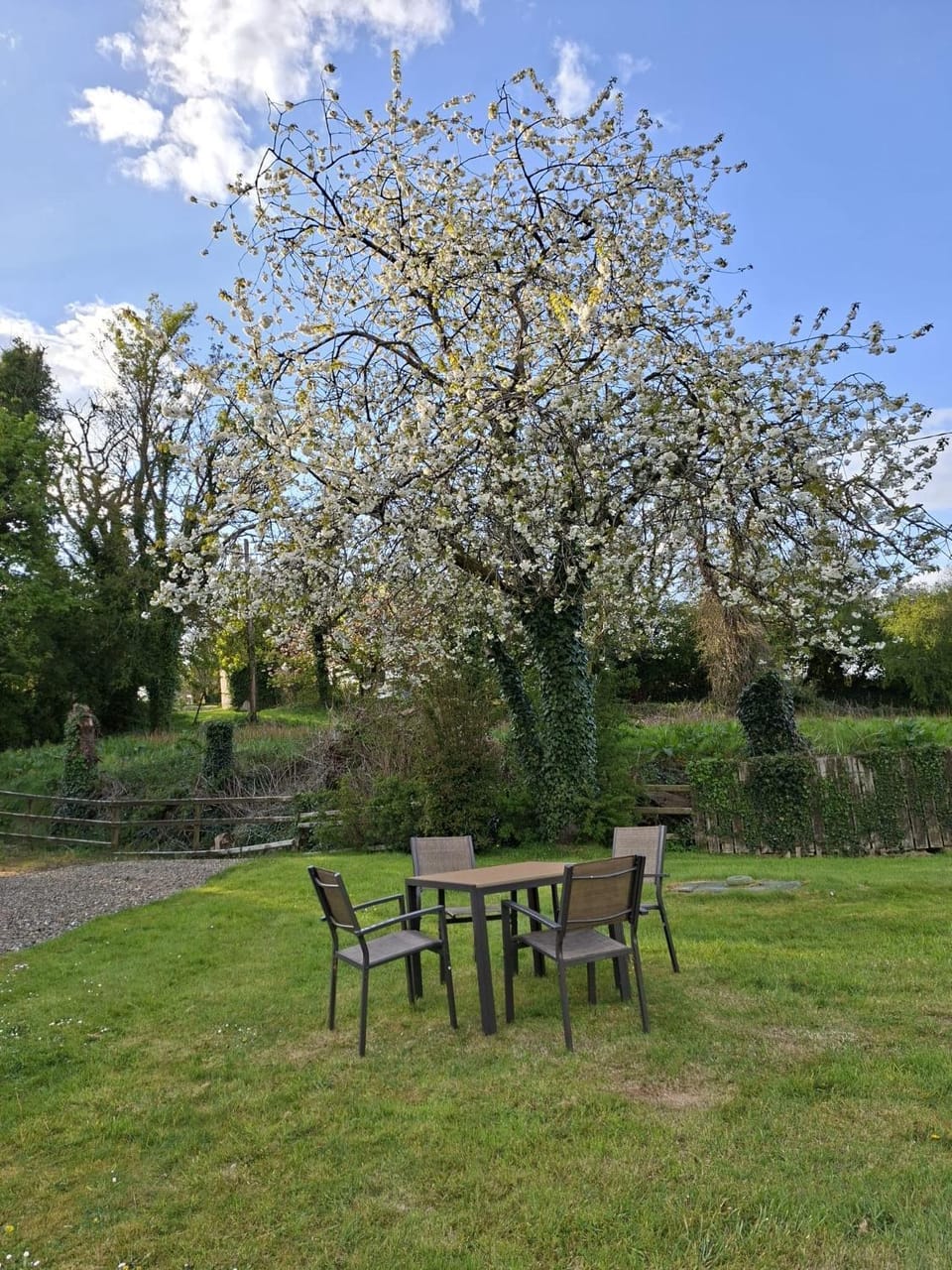 Spring, Natural landscape, Garden, Garden view