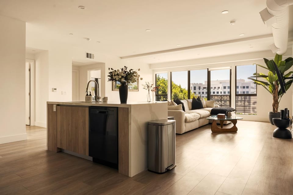 Living room, kitchen