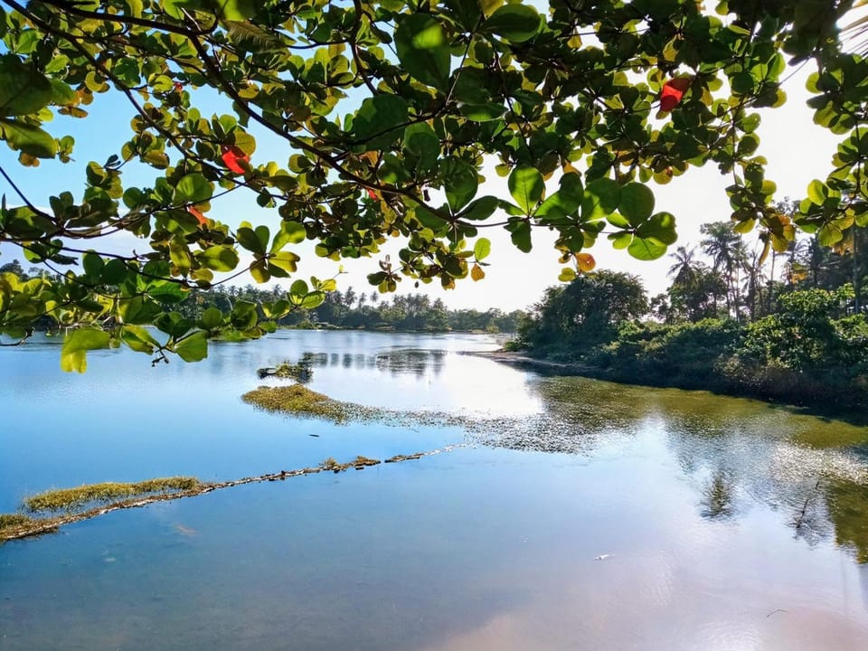 Day, Natural landscape, Lake view