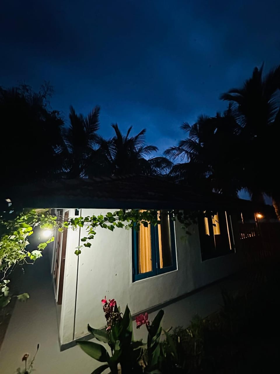 Property building, Night