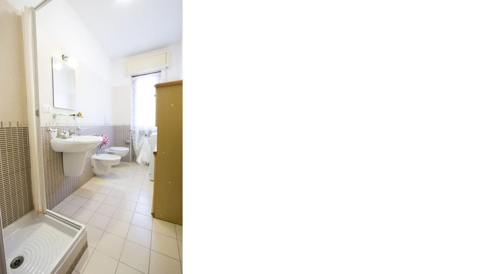 Shower, Toilet, Bathroom, bidet