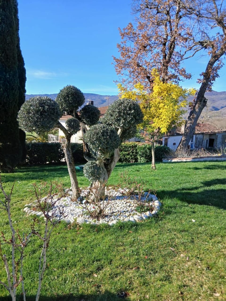 Borgo degli Ulivi Farm Stay in Campania