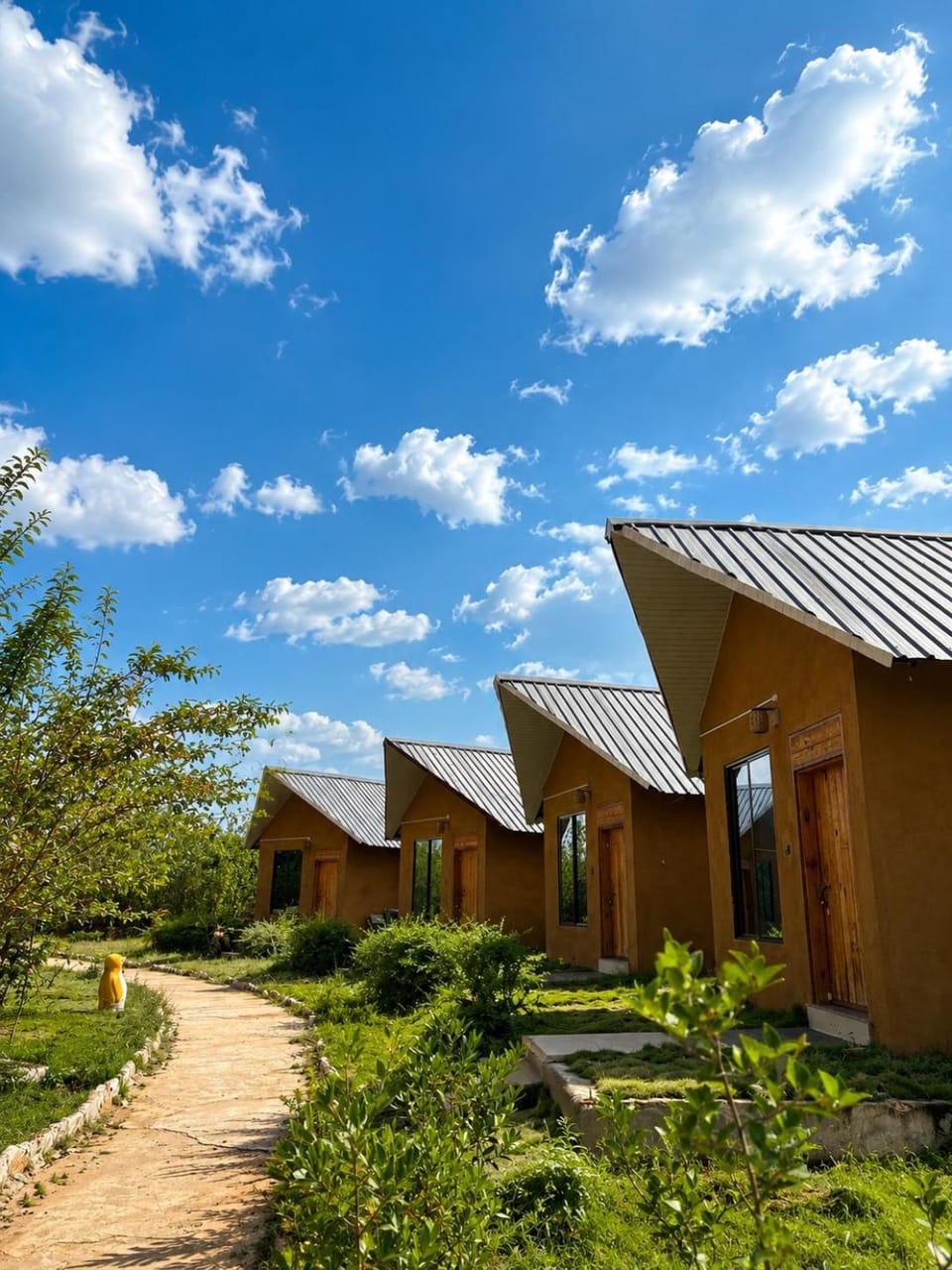 The Lazymojo Nature lodge in India