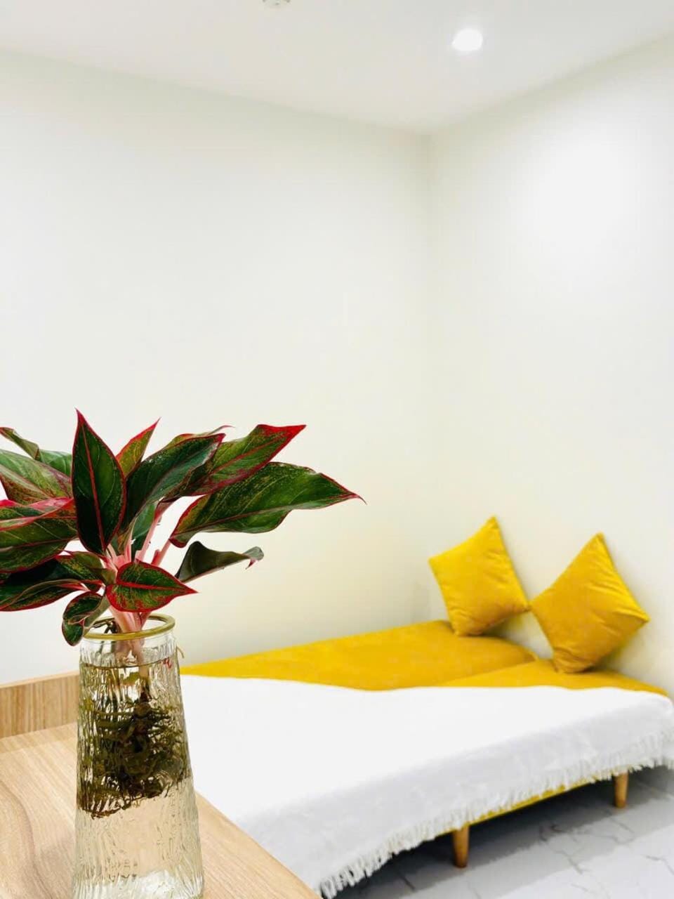 Chung home Luxury 1BR Plus Suite Apartment in Ho Chi Minh City