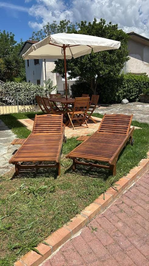 Patio, Garden, Garden view, sunbed