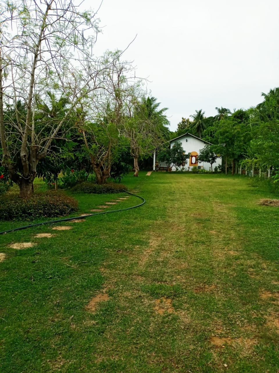 Habarana Hideaway Guest Bed and Breakfast in Dambulla