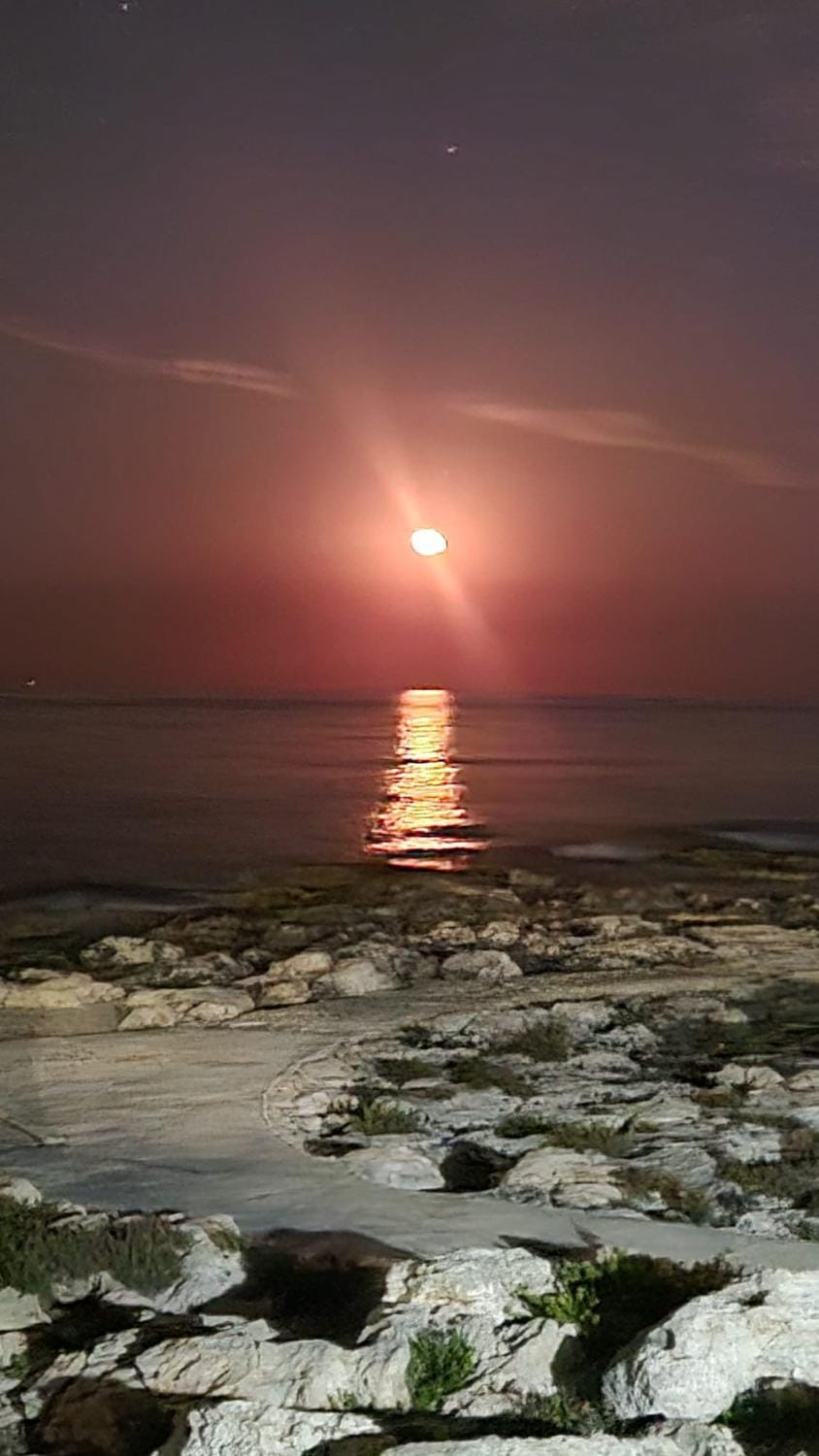 Maltese Sunshine Campground/ 
RV Resort in Malta