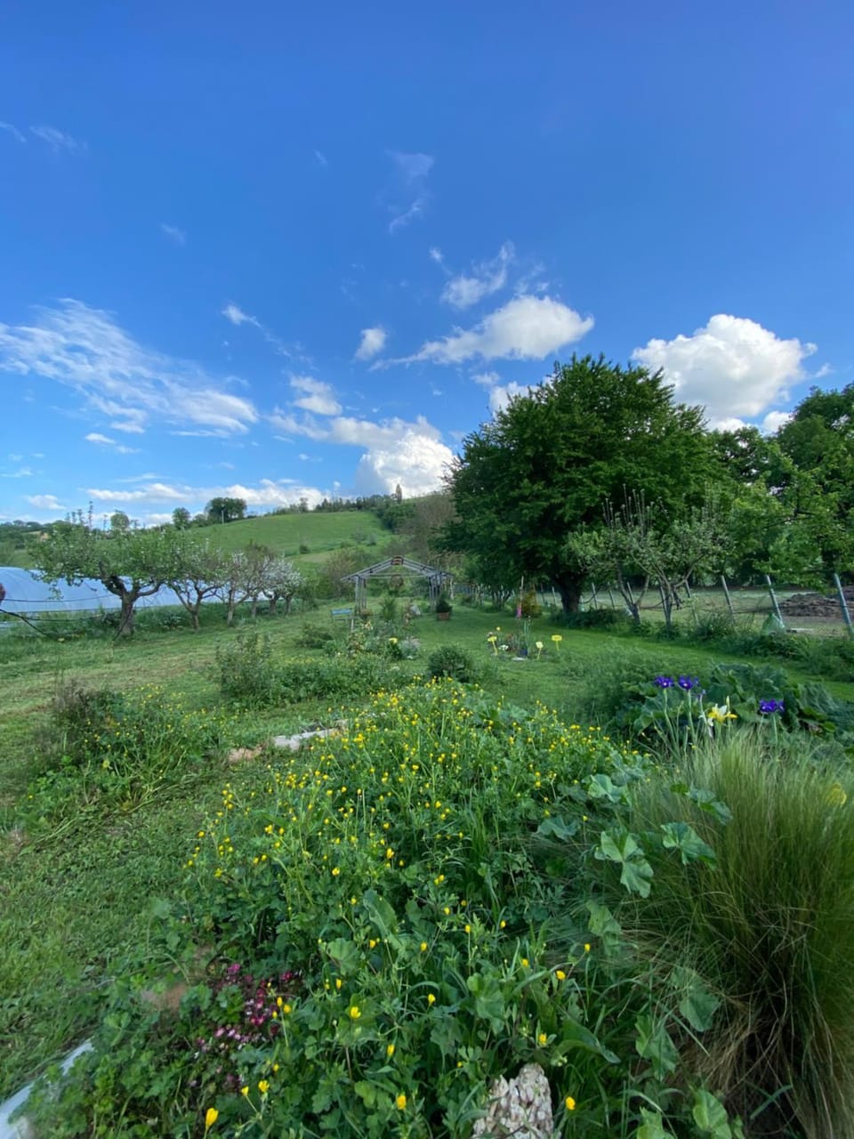 Fattoria Agrituristica Casale Venezia Bio Farm Stay in Umbria