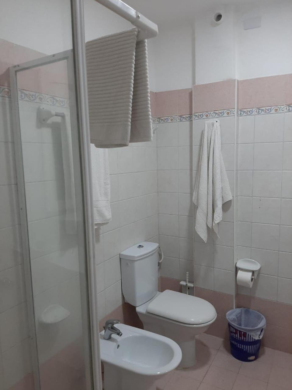 Shower, Toilet, Bathroom, bidet