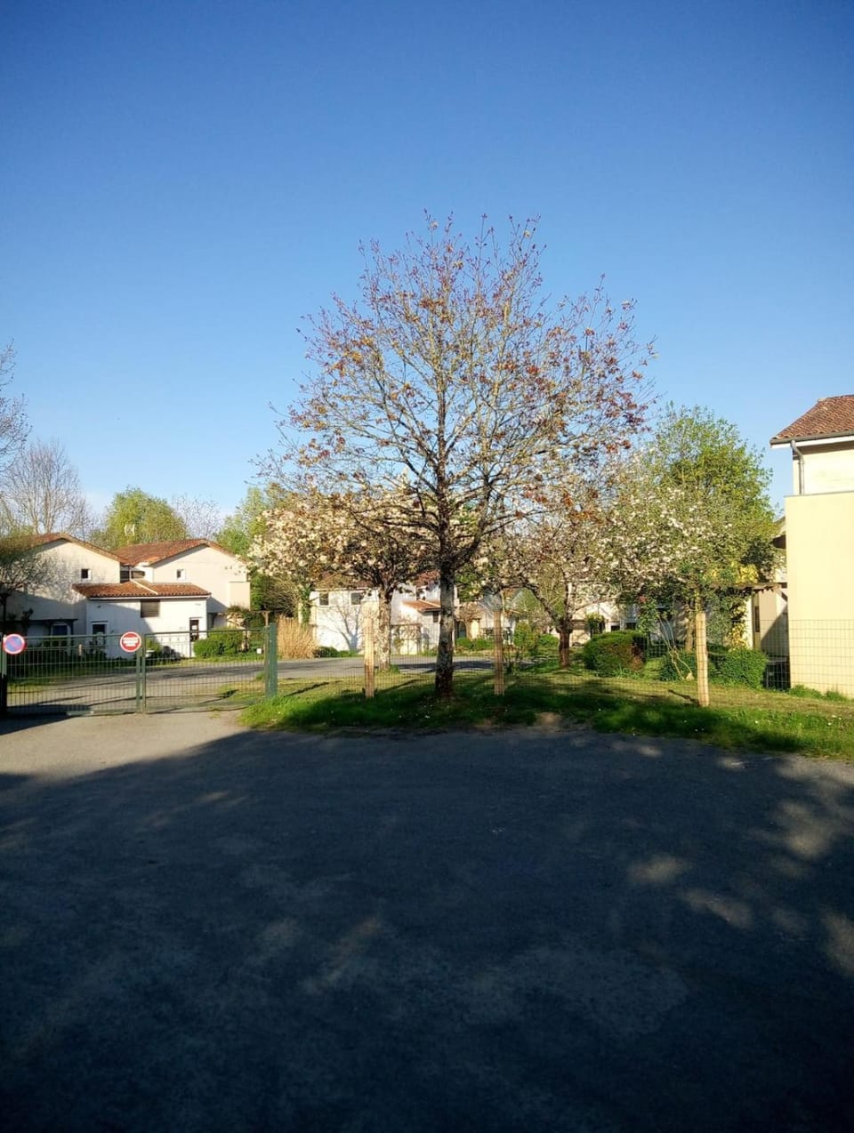 Garden, View (from property/room)