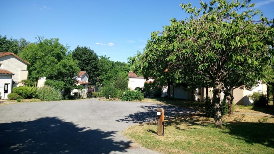 Property building, Neighbourhood, Garden view