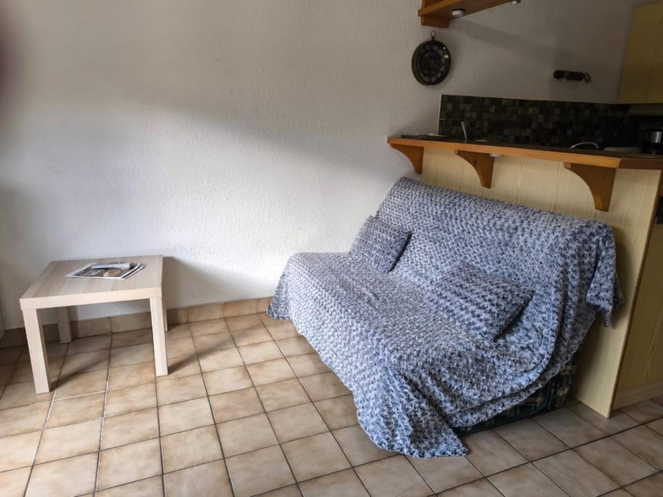 Sejour zen, plage, thermes et parc Apartment in Thonon-les-Bains