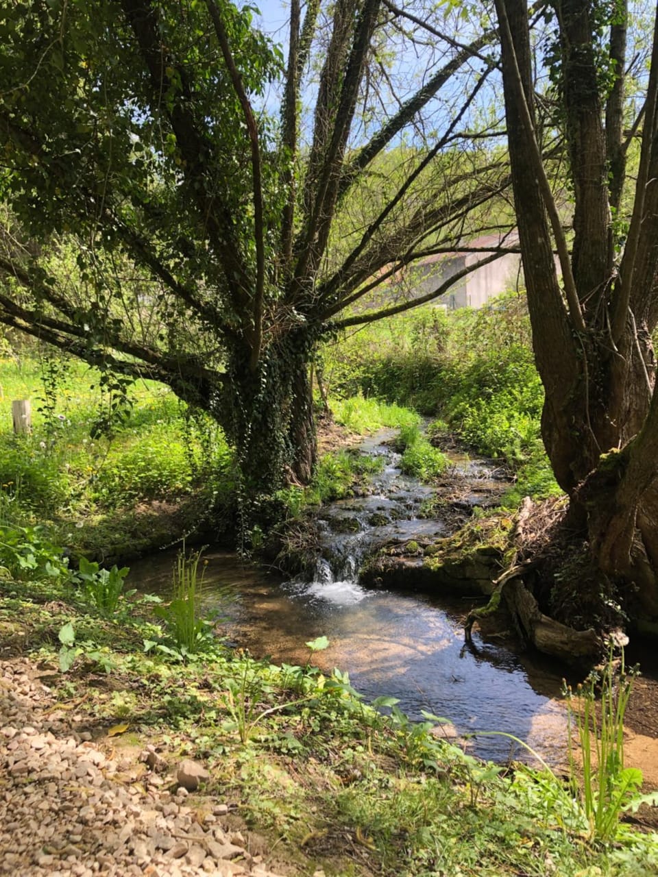 River view