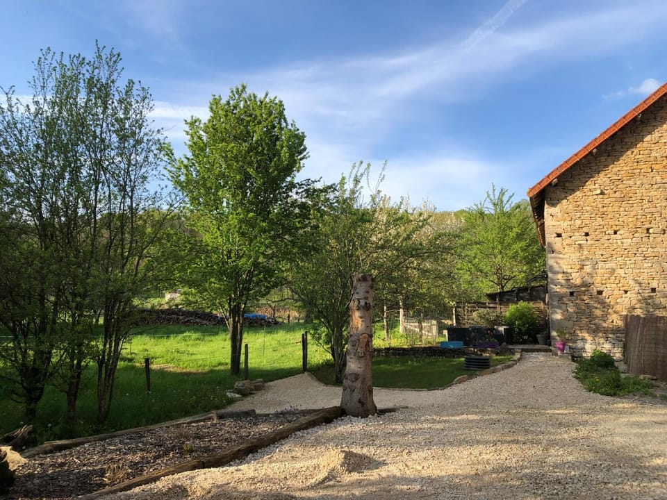 Garden view