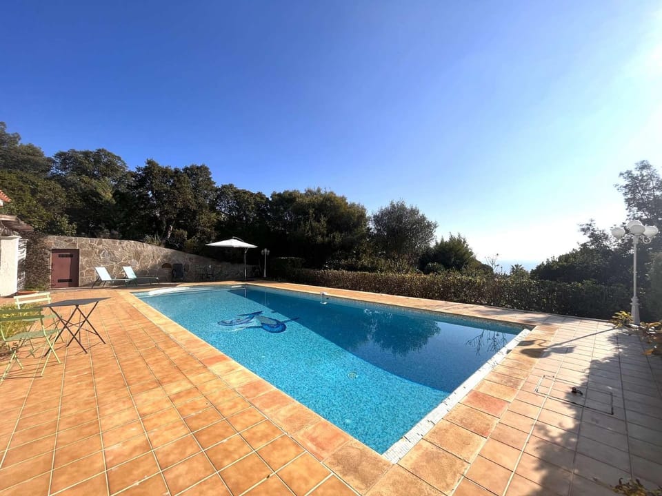 Day, Pool view, Swimming pool, sunbed