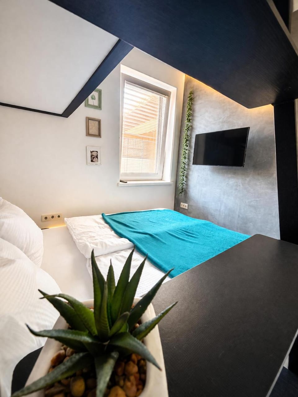 Bed, TV and multimedia, Living room, Photo of the whole room, Seating area, Bedroom