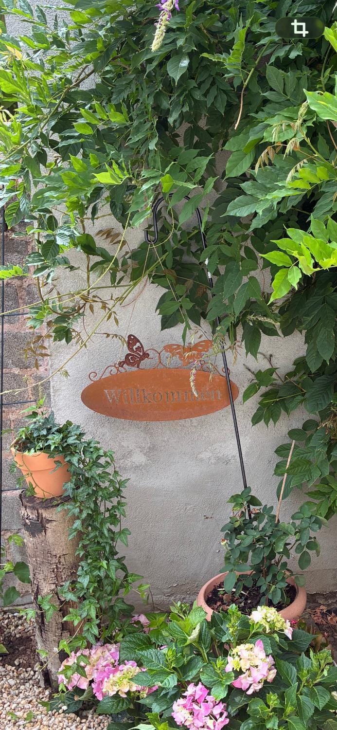 4-Zimmer-Apartment-Saarbrücken-Ost für privat und geschäftlich Reisende Apartment in Saarbrücken