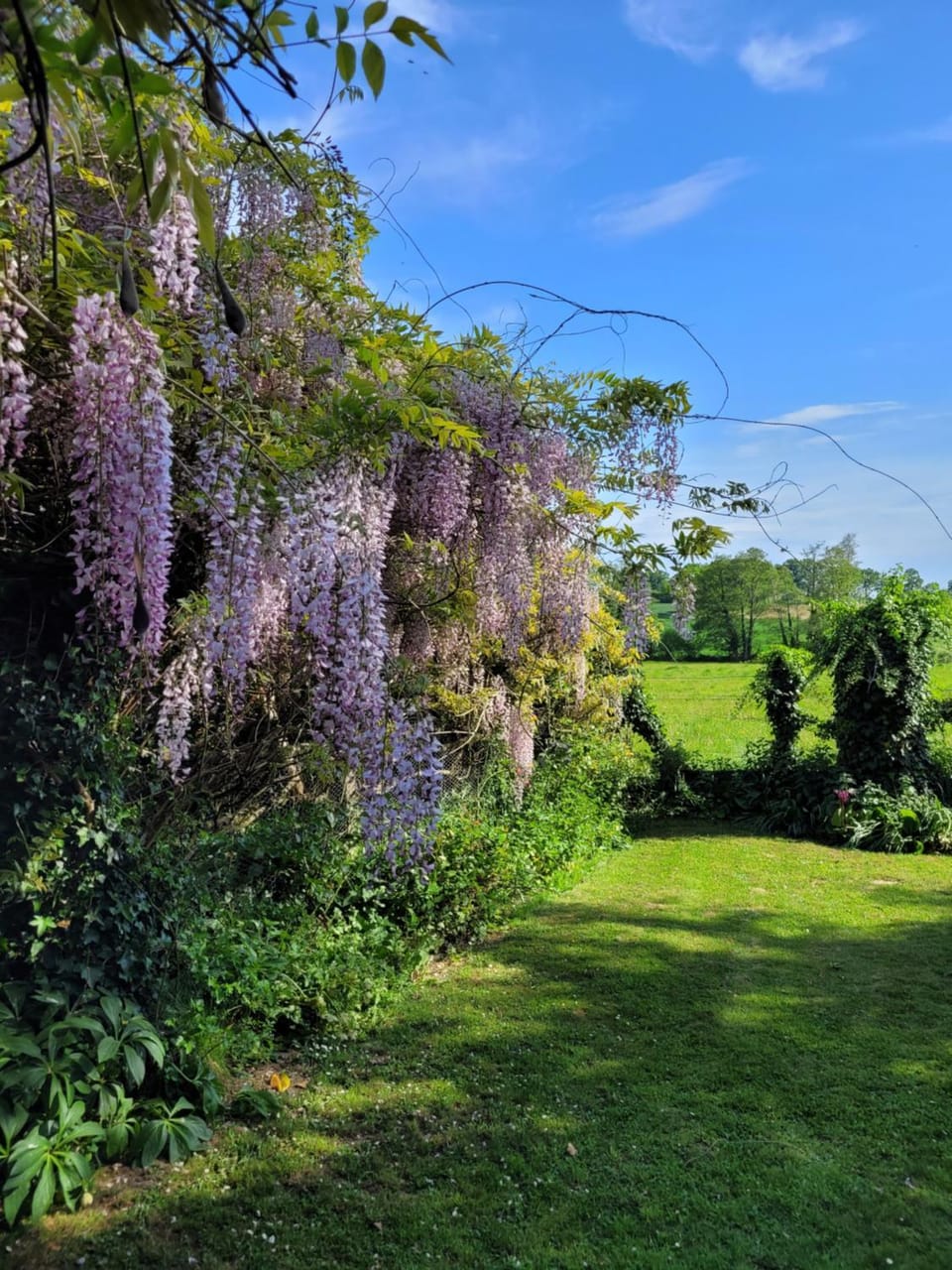Domaine Bel Air 855 - Gîte Aire House in Normandy