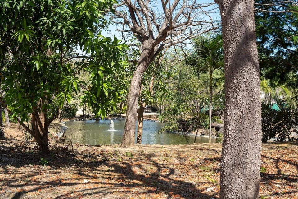 Luxury 3BR Gated Villa - Private Pool in Tamarindo Villa in Tamarindo