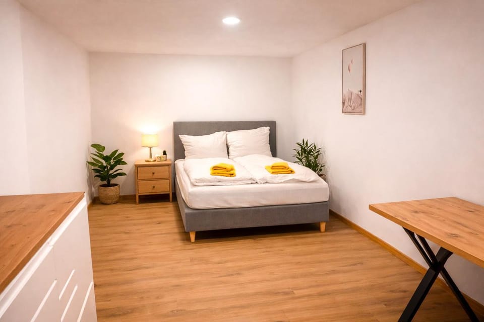 Studio Wohnung Mosella Apartment in Rhineland-Palatinate