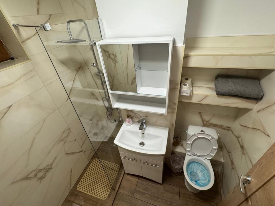 Shower, Toilet, Bathroom, towels