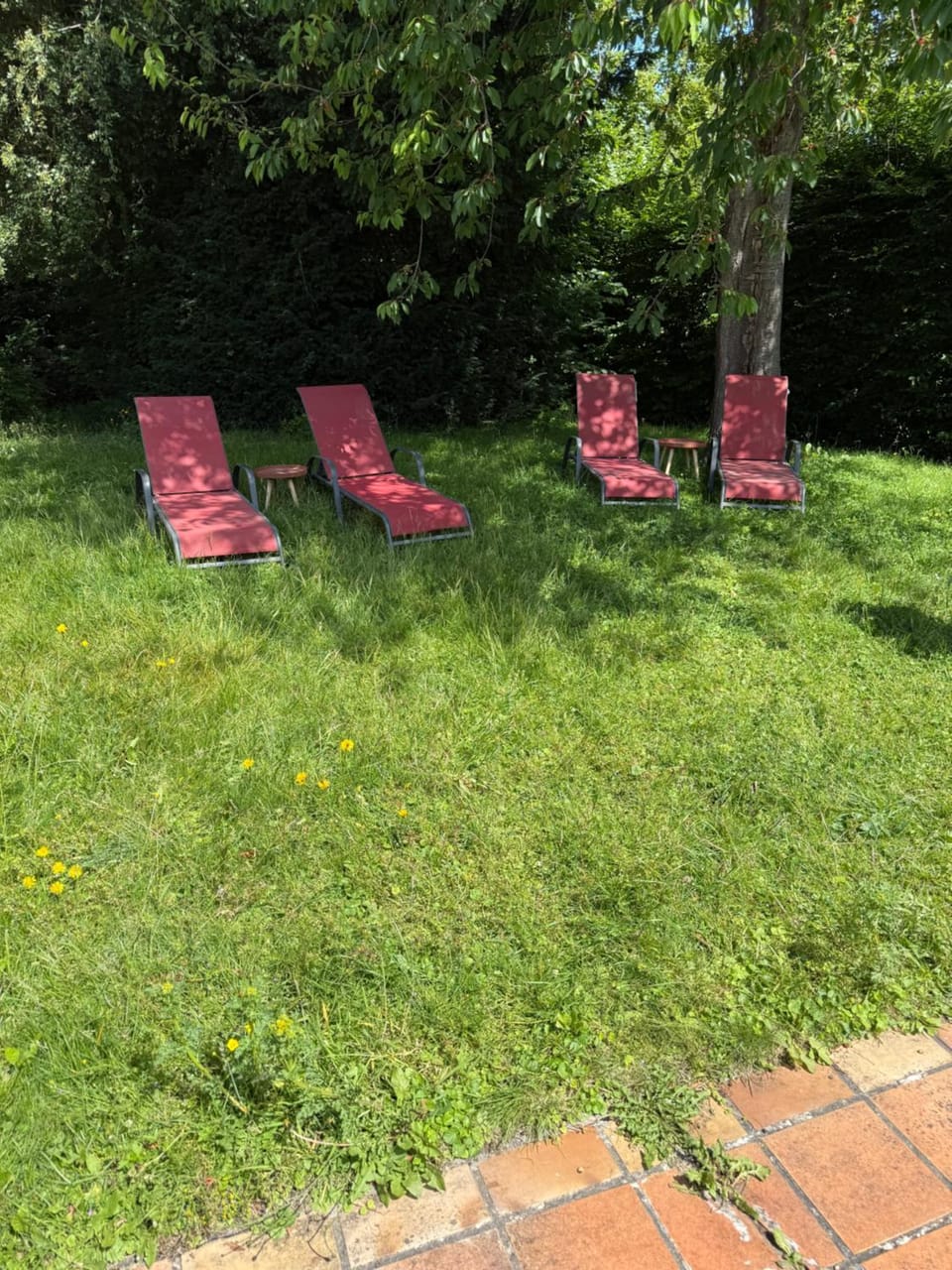 Garden, sunbed
