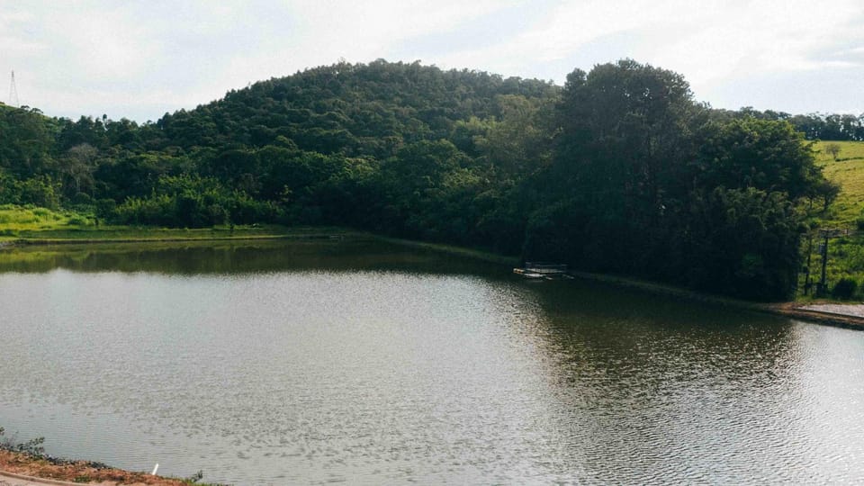 Lake view