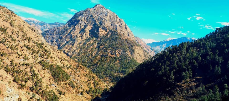 Pachamama Homestay Vacation rental in Himachal Pradesh